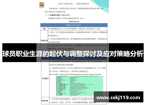 球员职业生涯的起伏与调整探讨及应对策略分析