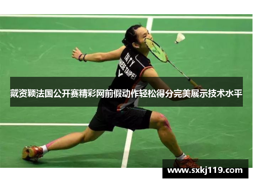 戴资颖法国公开赛精彩网前假动作轻松得分完美展示技术水平