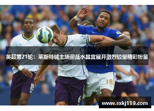英超第21轮：莱斯特城主场迎战水晶宫展开激烈较量精彩纷呈