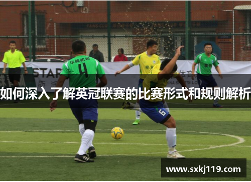 如何深入了解英冠联赛的比赛形式和规则解析